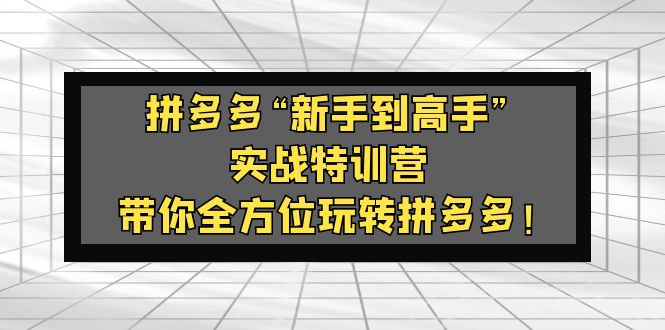 拼多多“新手到高手”实战特训营：带你全方位玩转拼多多！-酷吧易资源网