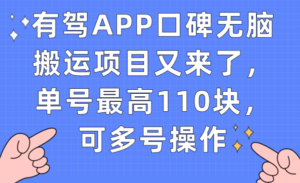 有驾APP口碑无脑搬运项目又来了，单号最高110块，可多号操作-酷吧易资源网