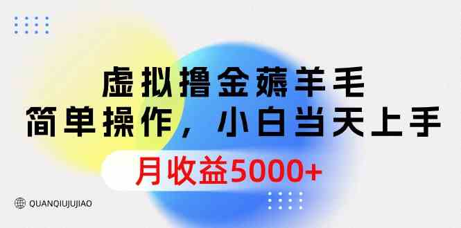 （9864期）虚拟撸金薅羊毛，简单操作，小白当天上手，月收益5000+-酷吧易资源网