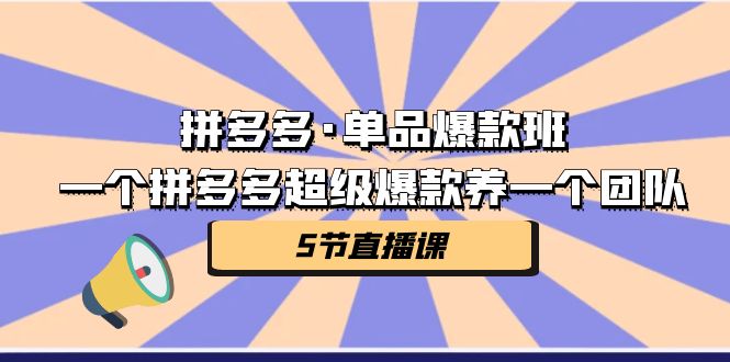 拼多多·单品爆款班，一个拼多多超级爆款养一个团队（5节直播课）-酷吧易资源网