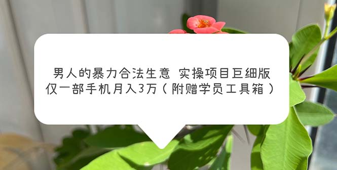 男人的暴力合法生意实操项目巨细版：仅一部手机月入3w（附赠学员工具箱）-酷吧易资源网