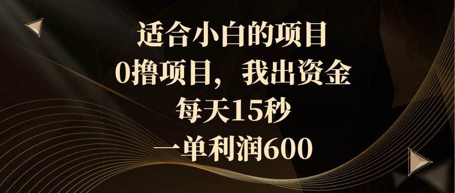 适合小白的项目，0撸项目，我出资金，每天15秒，一单利润600-酷吧易资源网