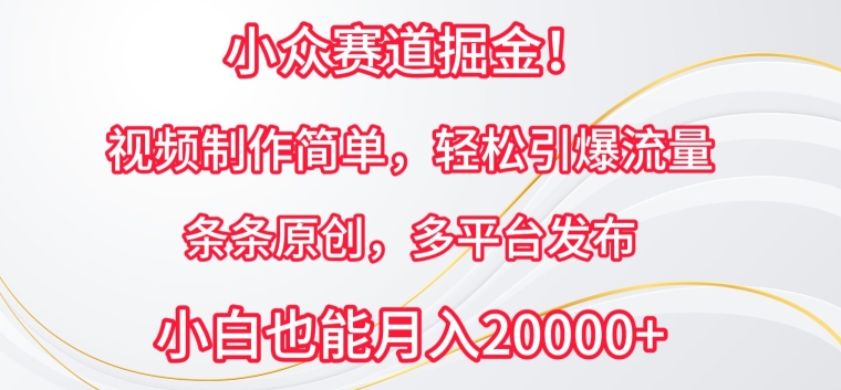 小众赛道掘金，视频制作简单，轻松引爆流量，条条原创，多平台发布-酷吧易资源网