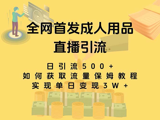 最新全网独创首发，成人用品直播引流获客暴力玩法，单日变现3w保姆级教程-酷吧易资源网