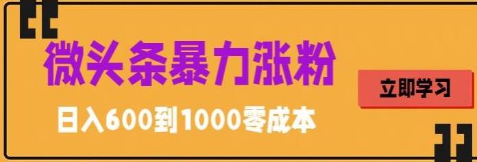 微头条暴力涨粉技巧搬运文案就能涨几万粉丝，简单0成本，日赚600-酷吧易资源网