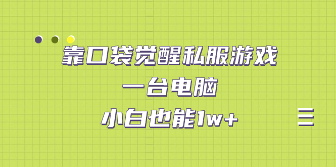 靠口袋觉醒私服游戏，一台电脑，小白也能1w+（教程+工具+资料）-酷吧易资源网