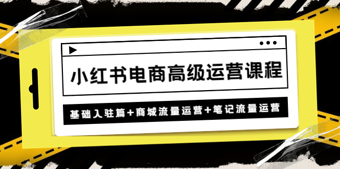 小红书电商高级运营课程：基础入驻篇+商城流量运营+笔记流量运营-酷吧易资源网