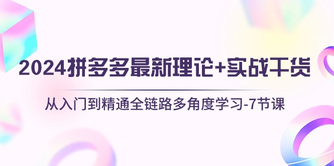 （10816期）2024拼多多 最新理论+实战干货，从入门到精通全链路多角度学习-7节课-酷吧易资源网